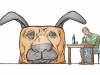 hund2-1bc