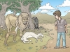 Ilustraciones Rondallas Mallorquinas- Consell Insular de Mallorca
